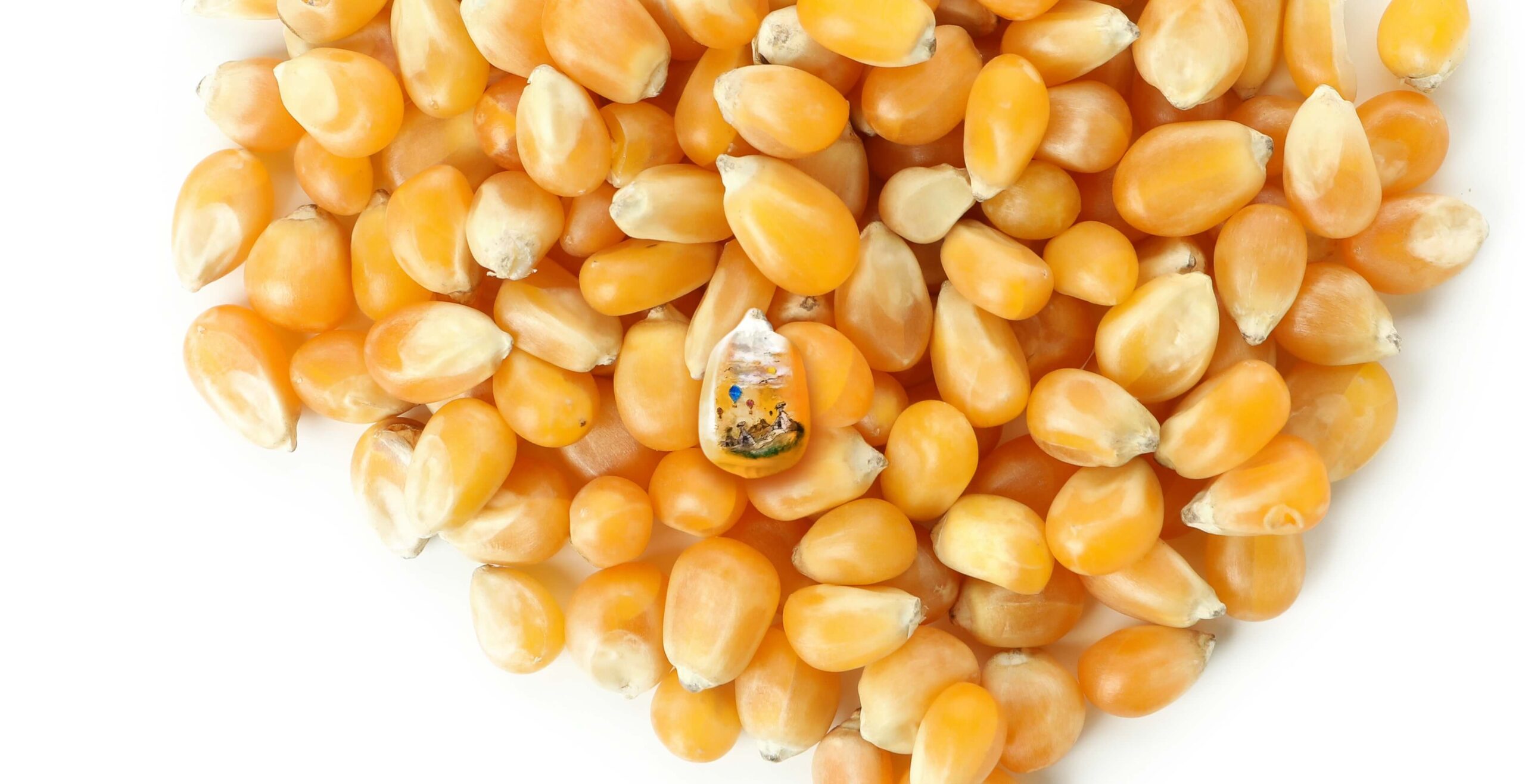 The Cappadocia on the corn